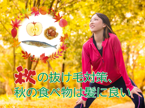 【Vol.19】秋の抜け毛対策、秋の食べ物は髪に良い